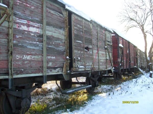 wagondelen houtsoorten